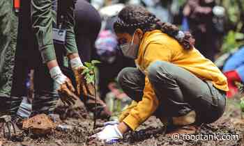 Harnessing the Power of Youth for Agri-Food Systems Transformations – Food Tank - Food Tank