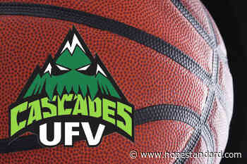 Chilliwack's Sardis secondary hosts basketball game between UFV and Langara – Hope Standard - Hope Standard