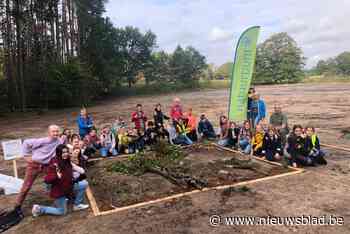 Leerlingen ’t Klavernest maken natuurschilderij