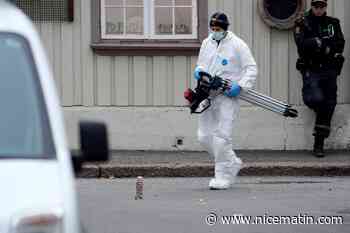Attaque à l'arc en Norvège: la piste de l'acte terroriste se précise