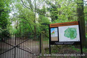 Beckenham Place Park: Arrest over alleged sexual assault