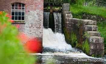 Gräbt Hamburg der Heide das Wasser ab? Gericht fällt Urteil - Hamburger Morgenpost