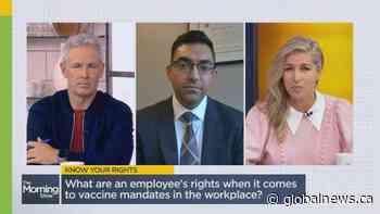 Clearing the confusion over vaccines mandates in the workplace