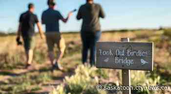 YXE Underground: Trusting in nature through the Restoring 71 Project