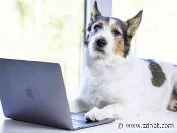 Apple's Unleashed event: What to expect from the rumored M1X processor and new Macs