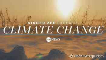 Climate change: England must 'adapt or die,' agency warns