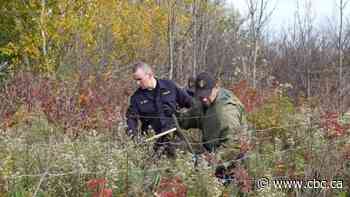 Police searching wooded area in northern Ontario for clues in 1996 missing person case