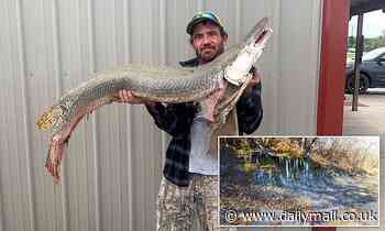 Living fossil': Fisherman captures nearly 40-pound alligator gar in Kansas
