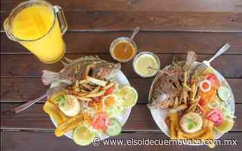 Reactivación económica en Ayala será con códigos QR - El Sol de Cuernavaca