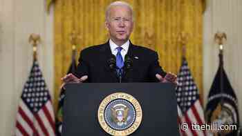 Biden touts progress but warns US in 'critical period' as millions remain unvaccinated