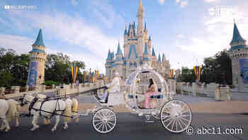 Want to Get Married at Walt Disney World? Here's What You Need to Know