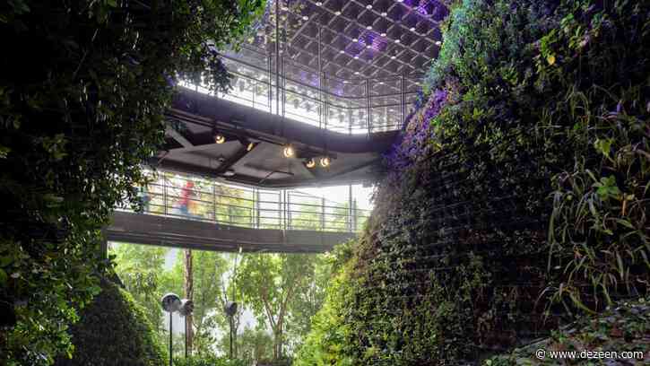 WOHA creates "oasis in the desert" for Singapore Pavilion at Dubai Expo