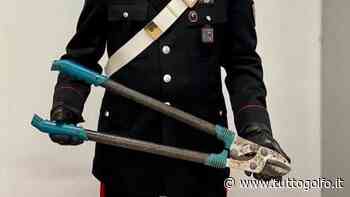 Castelforte, ladro sospetto - I carabinieri di Formia lo individuano. Era in possesso di una cesoia » Tuttogolfo - Tutto Golfo