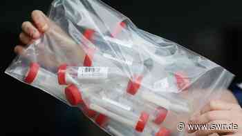 Corona: Pooltests an Grundschulen in Mannheim erfolgreich - SWR