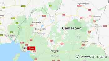Mob kills Cameroon police officer after death of 5-year-old girl