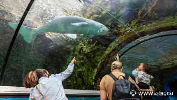 The latest on the coronavirus outbreak for Oct. 14