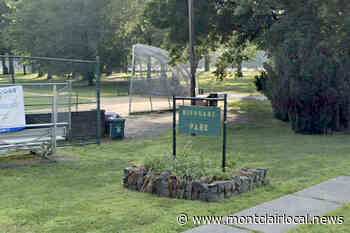 Parents denied permit for more coronavirus testing at Nishuane Park - Montclair Local