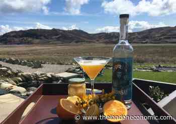 Cocktail Recipe: Colonsay Bees Knees - The London Economic
