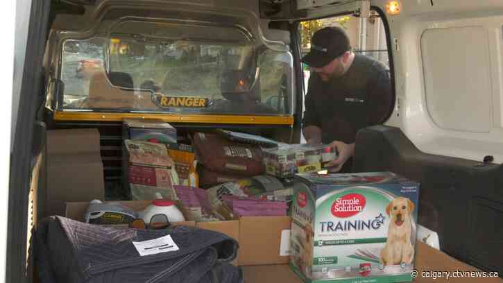 'A really big boom': Calgary businesses catering to pets thrive during pandemic