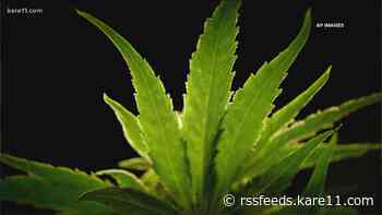 Minnesota Supreme Court: Workers' comp can't cover medical marijuana