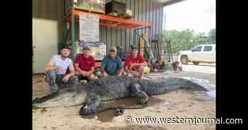 Artifacts Believed to Be Thousands of Years Old Discovered Inside Massive 750-Pound Alligator