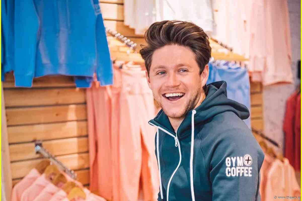 You can now fall asleep with Niall Horan in your ear as Irish star ...