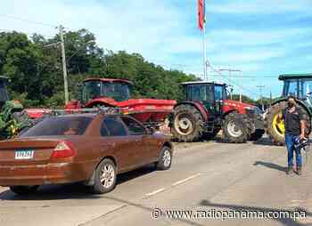 Productores de maíz cerraron vías en Los Santos para reclamar pagos de subsidios por parte del Gobierno - Radio Panamá