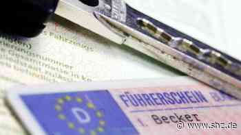 A1 bei Reinfeld: Telefonierender Lkw-Fahrer mit gefälschtem Führerschein unterwegs | shz.de - shz.de
