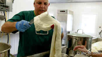 Did you know that real mozzarella cheese is made from water buffalo milk?