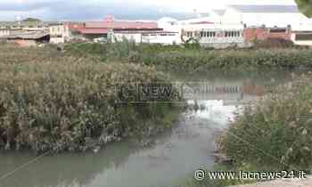 Manutenzione straordinaria - Comune di Crotone, al via gli interventi di pulizia per corsi d’acqua e caditoie - LaC news24