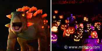 Laval's Massive Illumi Light Festival Has New Halloween Worlds With 50 Dinos & A Candyland - MTL Blog
