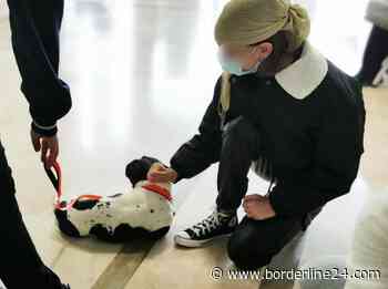 Bari, i piccoli pazienti oncologici hanno una nuova amica: “Benvenuta cagnolina Maya” - Borderline24.com