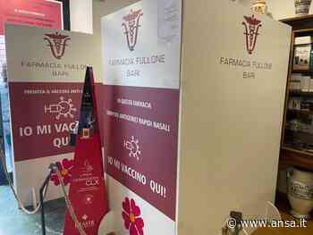 Green pass: agende piene per tamponi in farmacie Bari - Agenzia ANSA