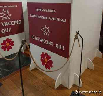 Green pass:farmacie, a Bari sino a +50% di richieste tamponi - Agenzia ANSA