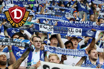 Auf Schalke wird es richtig laut! Dynamo vor bis zu 56.617 Fans bei S04 - TAG24