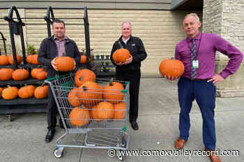 Pumpkin carving contest aims to bring joy to Comox Valley seniors - Comox Valley Record