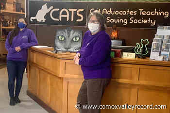 Rescue organization holding fundraiser to support and assist cats – Comox Valley Record - Comox Valley Record