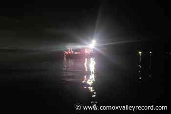 Witnesses watch as pickup drives into Cowichan Bay - Comox Valley Record