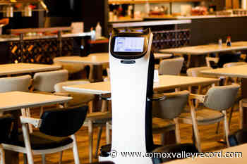 Robot a valued staff member at Nanaimo restaurant – Comox Valley Record - Comox Valley Record