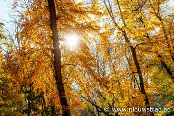 WEER. Volgende week halen we opnieuw 20 graden - Het Nieuwsblad