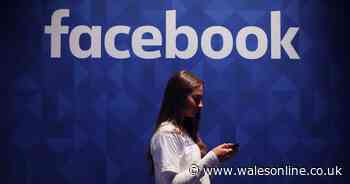 Child safety groups want Facebook to be safer for youngsters