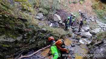 Parma, fungaiola morta durante un’escursione a Prato Spilla - il Resto del Carlino