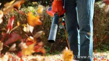 Besen statt Laubbläser: Stadt Starnberg rät zum Einsatz umweltfreundlicher Alternativen - Merkur Online
