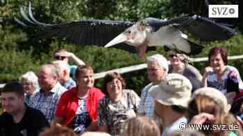 Parchim: „Club am Südring“ organisiert Ausflug zum Vogelpark Marlow | svz.de - svz – Schweriner Volkszeitung