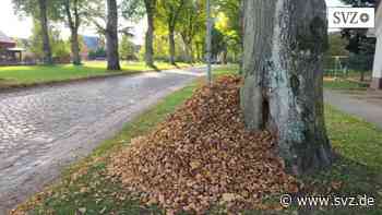 Ludwigslust-Parchim: Wohin mit dem Laub aus dem öffentlichen Raum? | svz.de - svz – Schweriner Volkszeitung