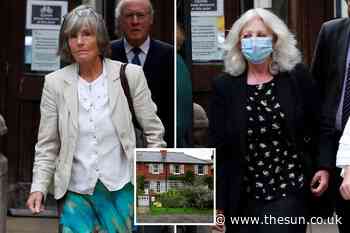 ‘Vindictive’ gardener forced to pay £250,000 after neighbour is stung by wasps attracted by rotting appl... - The Sun