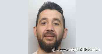 Cannabis gardener tended to 77-plant haul in exchange of place to stay - Northants Live