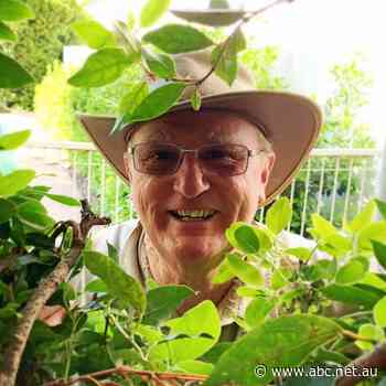 Providing employment opportunities for people living with disabilities: The Sustainable Gardener - ABC Local