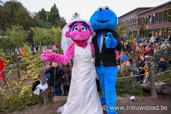 Rozenkransschool haalt Koekiemonster naar de speelplaats voor huwelijksceremonie