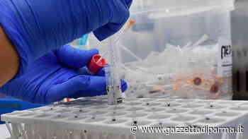 Parma, i nuovi positivi sono 28. Resta una persona in Terapia intensiva - Gazzetta di Parma